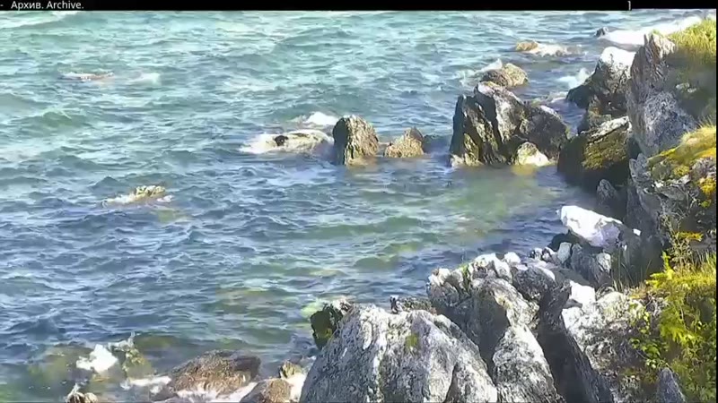 Лежбище нерпы на Ушканьих островах